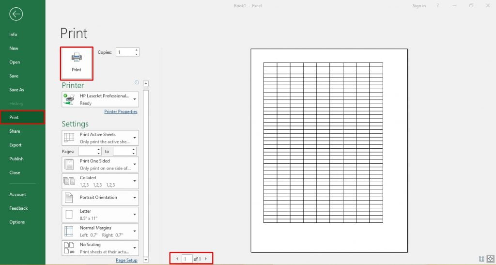 Excel worksheet print