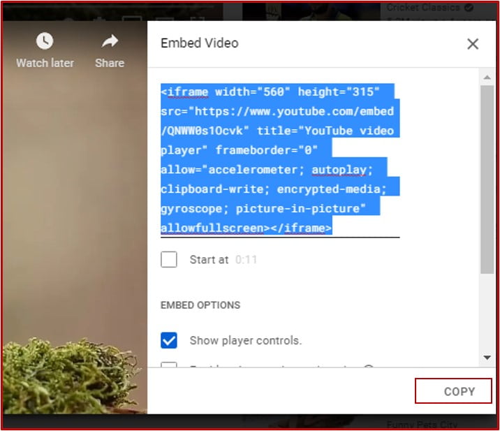 embed code copy