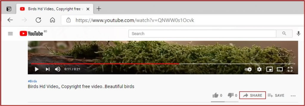 share button in youtube